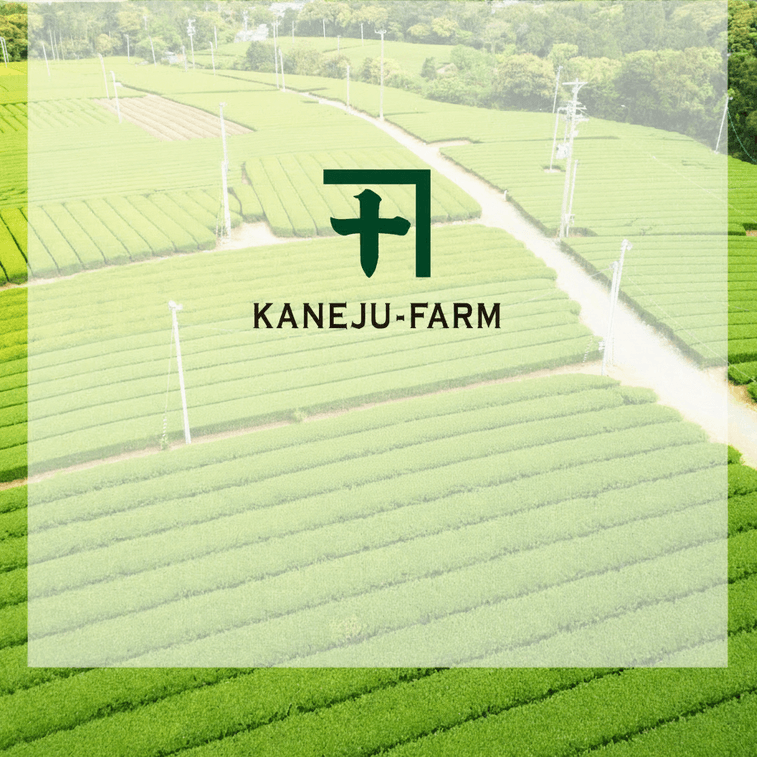 KANEJU FARM Japanese Matcha Powder 2g × 10 Packs