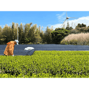 KANEJU FARM Yuzu Matcha 2g × 10 Packs